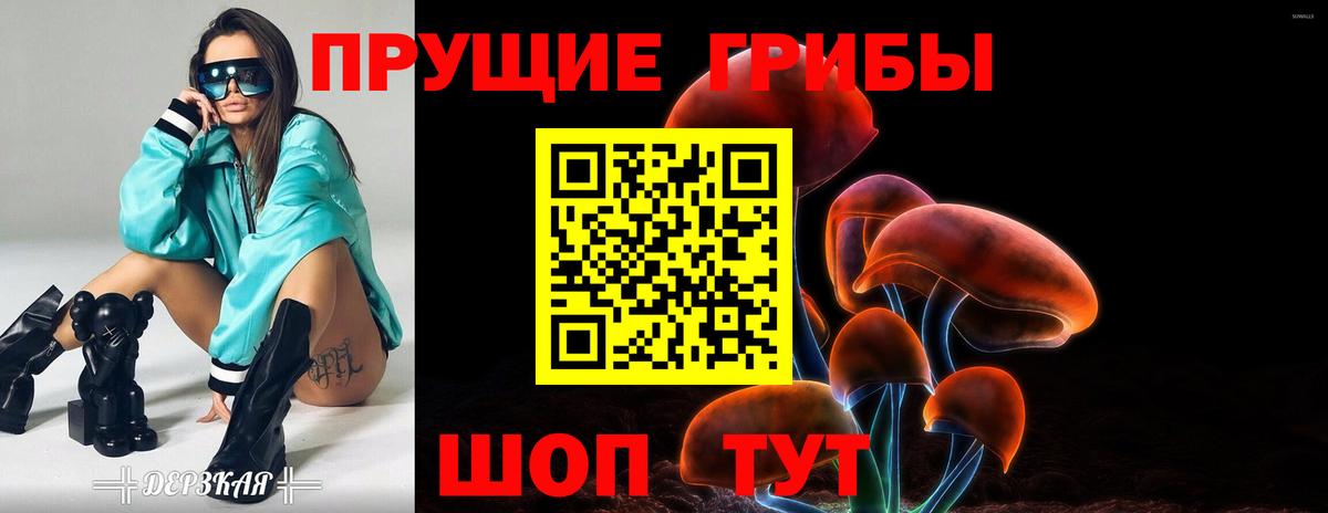 Щёлково  Галлюциногенные грибы Psilocybe  Псилоцибиновые грибы прущие грибы  Вход с VPN 